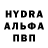 Псилоцибиновые грибы Psilocybe synRdave