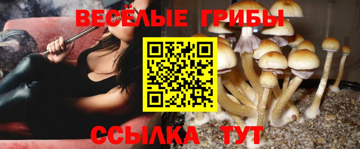 Еманжелинск  Псилоцибиновые грибы Magic Shrooms  Галлюциногенные грибы Cubensis  Вход с VPN 